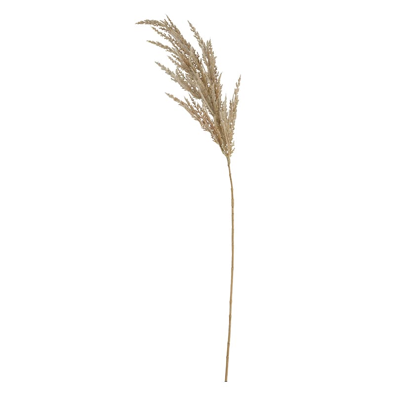 ビバ工芸 造花 パンパススプレー ベージュ VEG5605 1本(ご注文単位1本)【直送品】