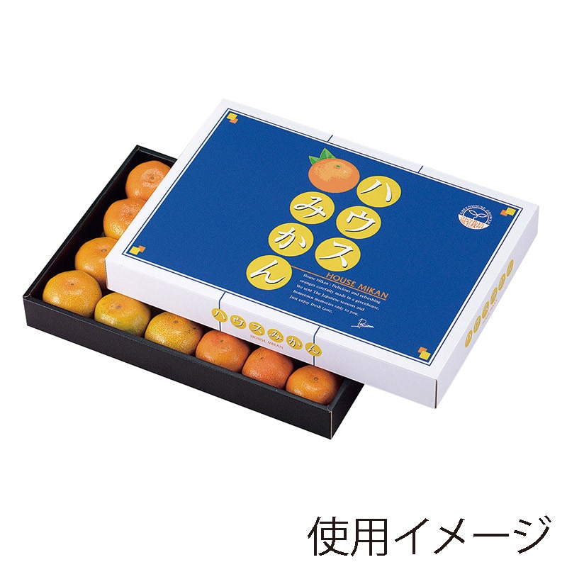 ヤマニパッケージ ギフト箱 ハウスみかん 大 L-468 10枚/束(ご注文単位5束)【直送品】