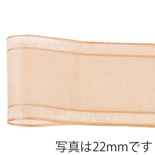 青山 リボン　ルーズエッジオーガンジー　1459 38×18 #24 1巻（ご注文単位1巻）【直送品】