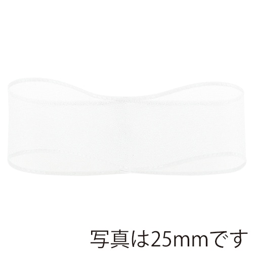 青山 リボン　パールオーガンジー　9763 15×30 #01 1巻（ご注文単位1巻）【直送品】
