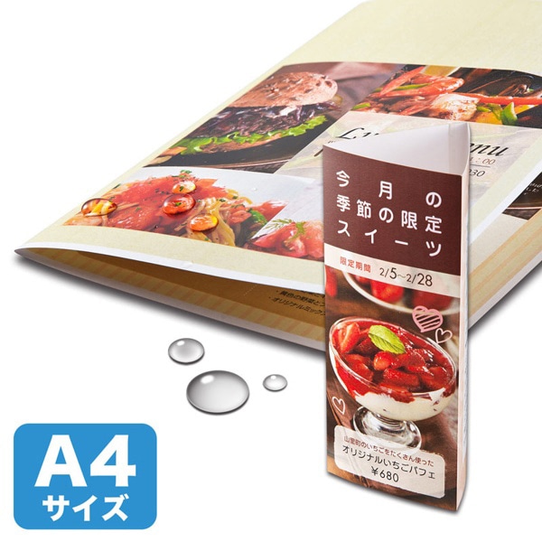 サンワサプライ カラーレーザー 耐水紙 特厚 A4 25枚 LBP-WPF22MDPN 1個(ご注文単位1個)【直送品】