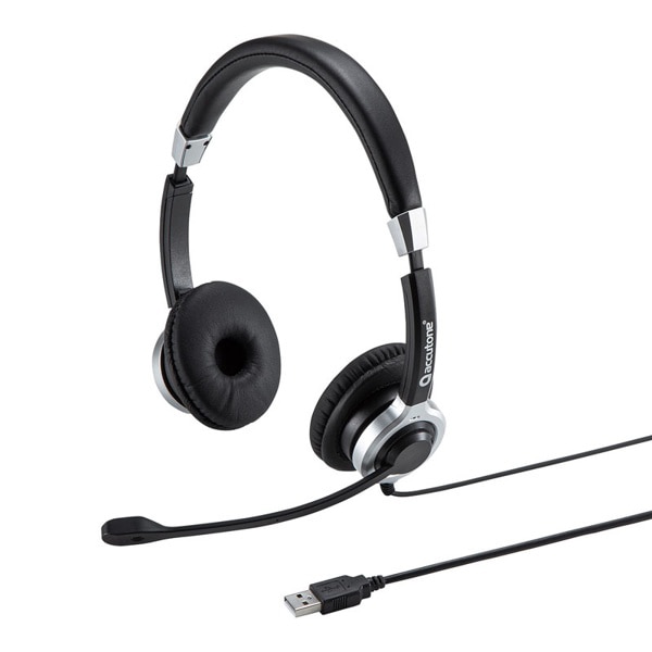 サンワサプライ マイク付きUSBヘッドセット 両耳タイプ アクティブノイズキャンセリング MM-HSU15ANC 1個（ご注文単位1個）【直送品】