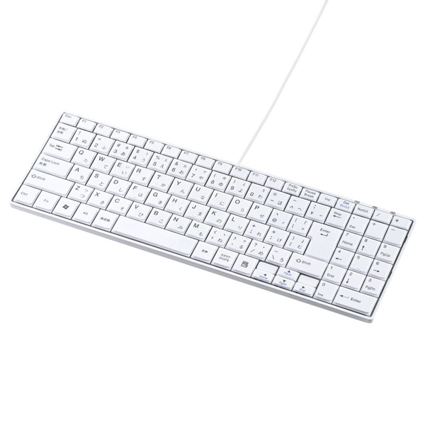 サンワサプライ USBスリムキーボード テンキー付き ホワイト SKB-SL17WN 1個（ご注文単位1個）【直送品】