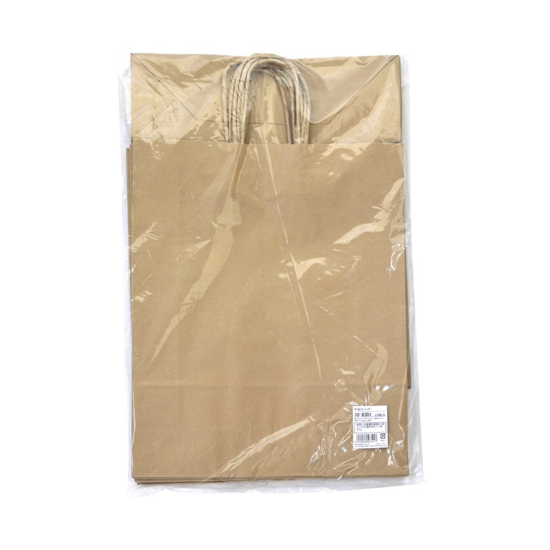 ササガワ 手提げ紙袋 未晒　大　10枚 50-6301 1包（ご注文単位1包）【直送品】