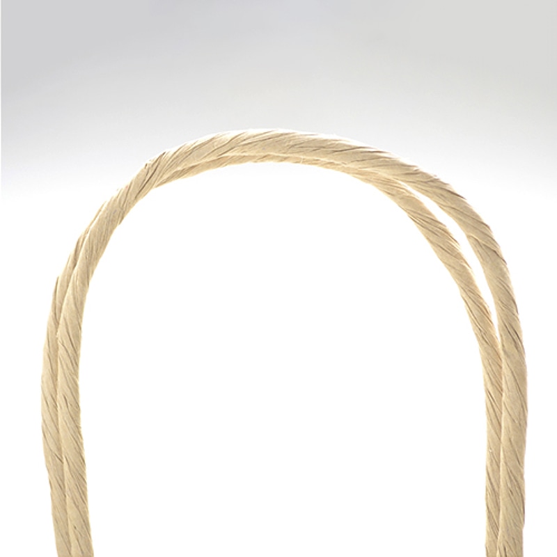 ササガワ 手提げ紙袋 未晒　大　10枚 50-6301 1包（ご注文単位1包）【直送品】