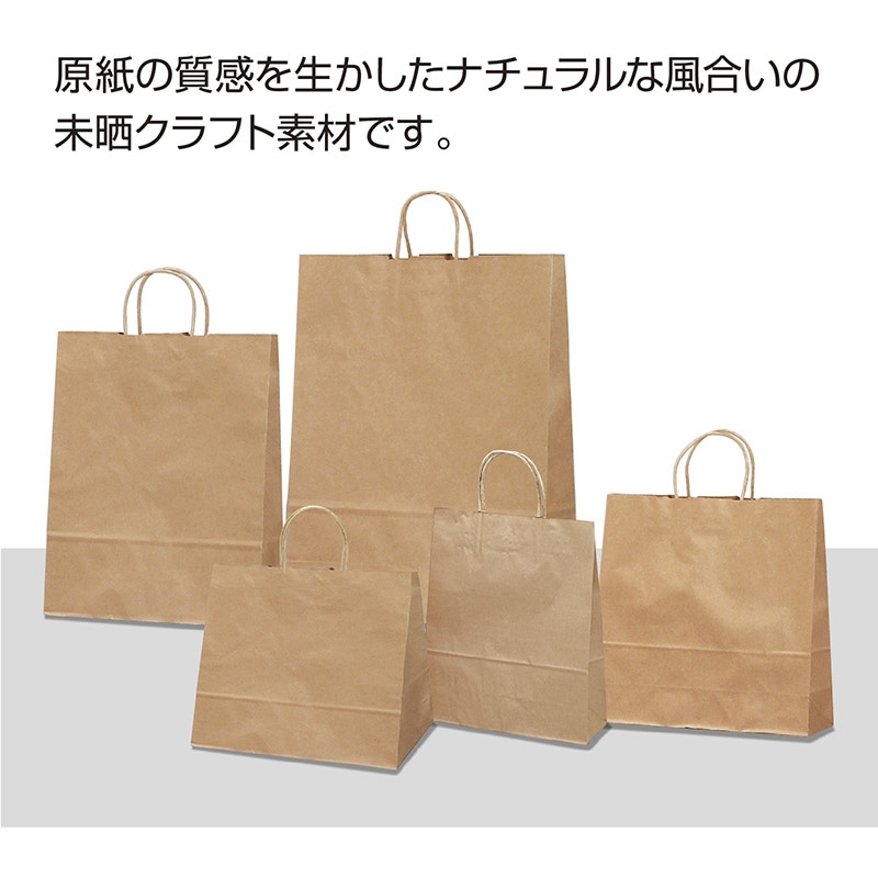 ササガワ 手提げ紙袋 未晒　大　10枚 50-6301 1包（ご注文単位1包）【直送品】