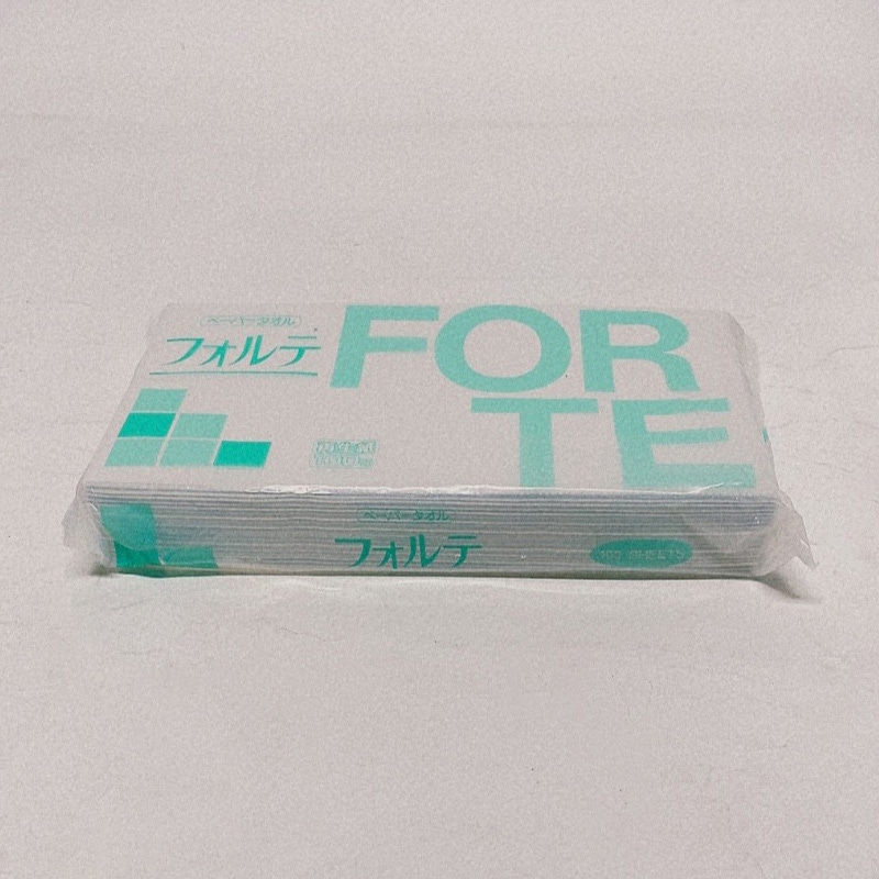 太洋紙業 ペーパータオル　フォルテ　100 レギュラー　100枚  1個（ご注文単位100個）【直送品】