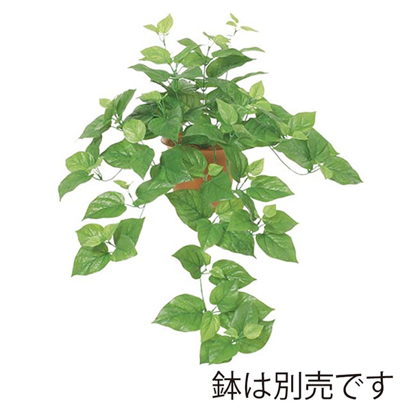 ドガ スプリングポトスブッシュ ワイヤー入 LEB-0852 1本(ご注文単位1本)【直送品】