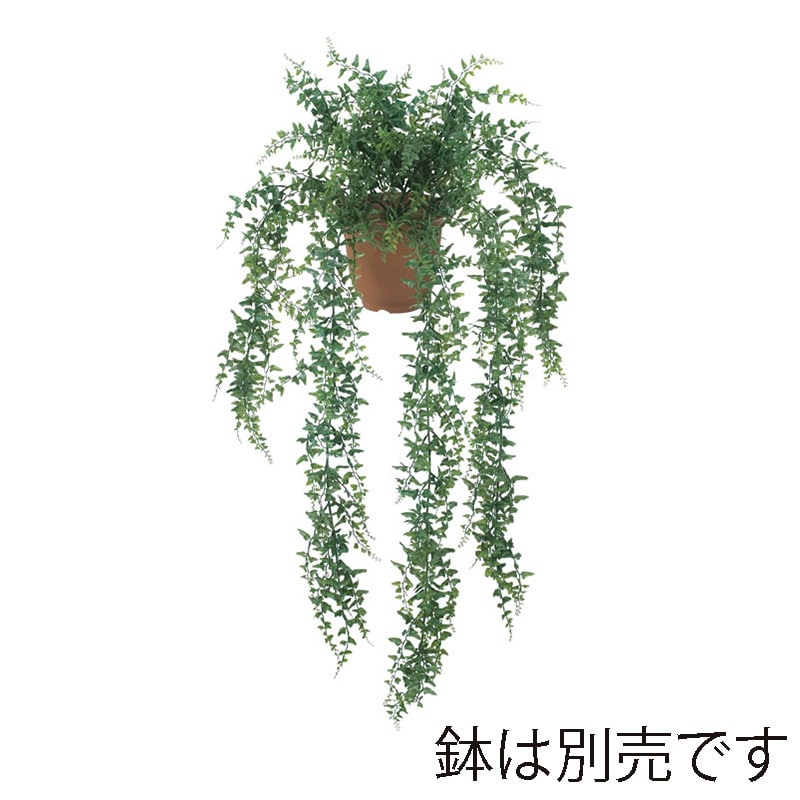 ドガ ベーカーファーンハンギングブッシュ  LEB-8121 1本（ご注文単位1本）【直送品】