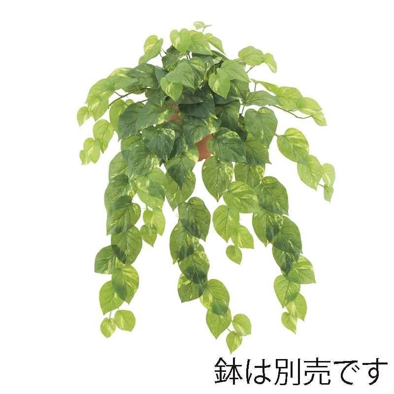 ドガ フレッシュポトスハンギングブッシュ L LEB-8172-L 1本(ご注文単位1本)【直送品】