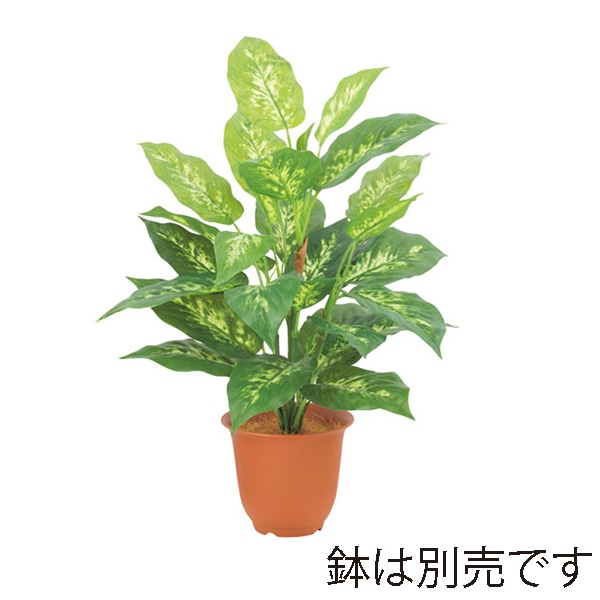 ドガ エバーグリーンディーフェンバキアブッシュ LEB-8182 1本(ご注文単位1本)【直送品】