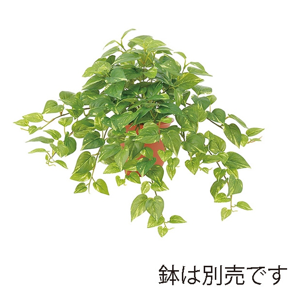 ドガ フレンチポトスブッシュ LEB-8213 1本(ご注文単位1本)【直送品】