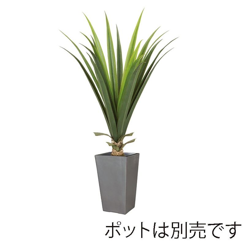 ドガ メキシカンアロエプラント S LET-2067-S 1本(ご注文単位1本)【直送品】