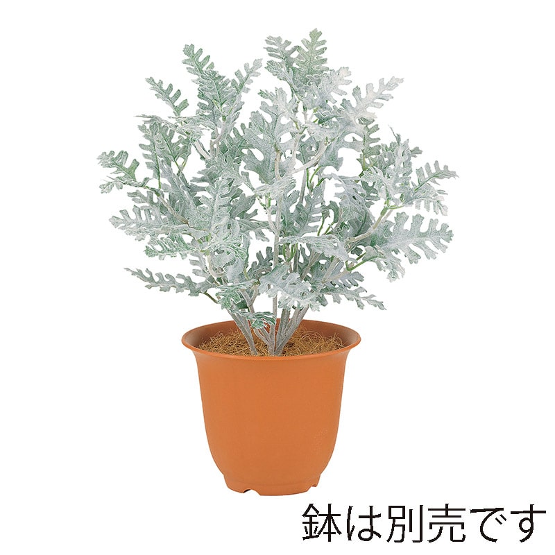 ドガ フロストダスティミラーブッシュ LEB-8336 1本(ご注文単位1本)【直送品】