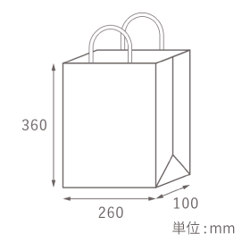S-100